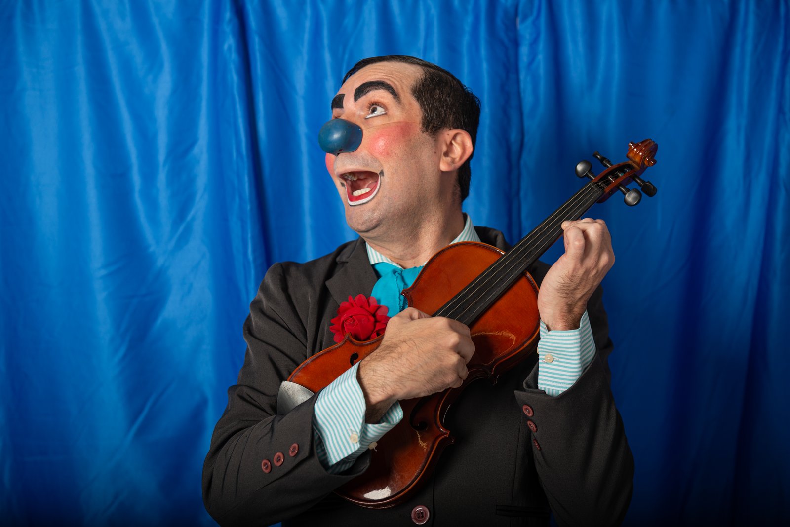 O Violinista Mosca Morta